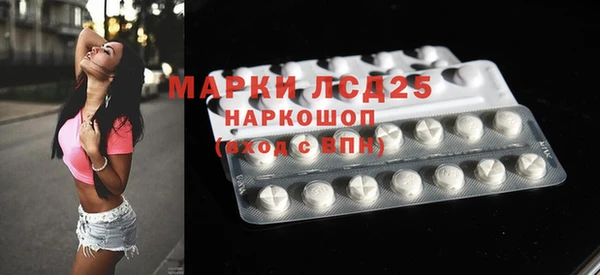 крисы Новодвинск