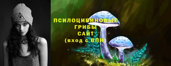 бутират Бикин