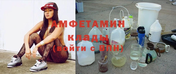 индика Алексеевка
