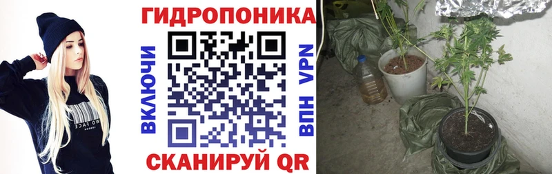 Шишки марихуана сатива OMG рабочий сайт Тогучин